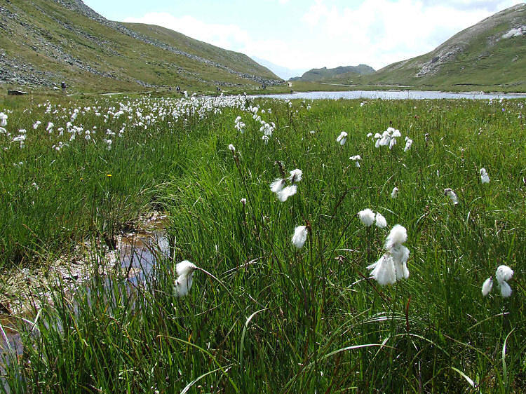  Lac du Plan du lac