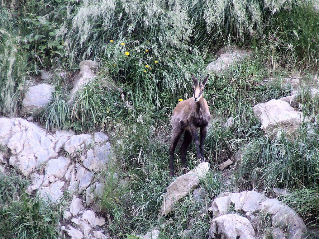 Rencontre